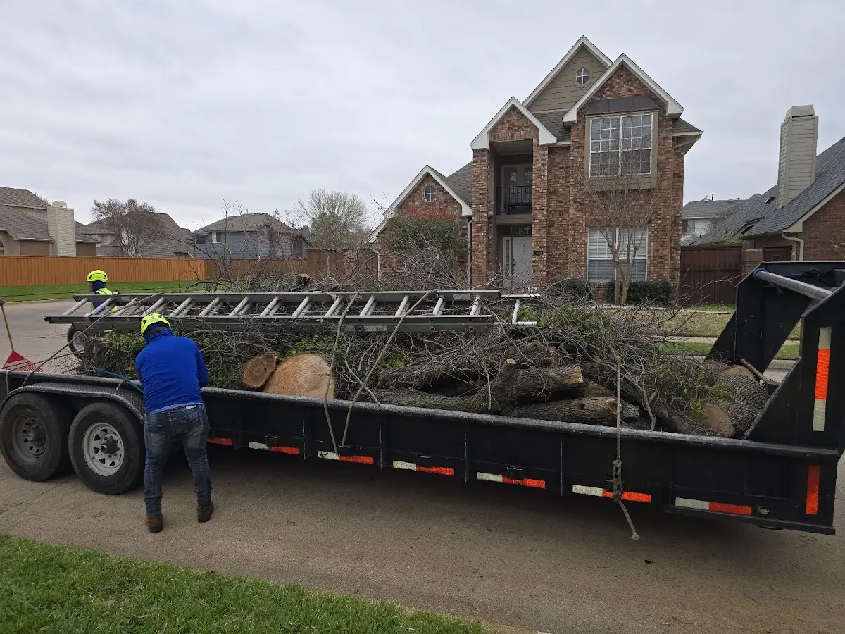 Expert Crown Reduction with proper safety equipment in Quapaw